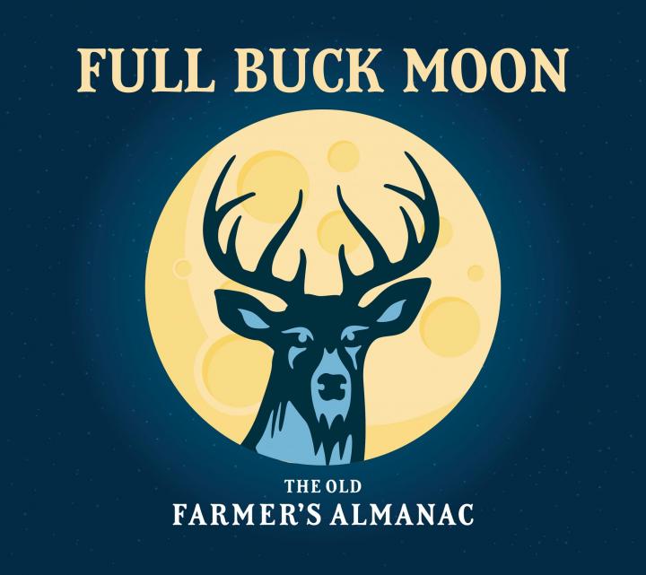 Full Moon 2023 When is the Next Full Moon? The Old Farmer's Almanac